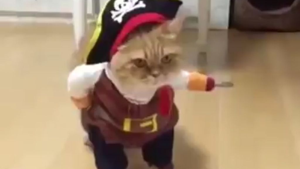 "Cuando tu disfraz de Halloween te queda perfecto"