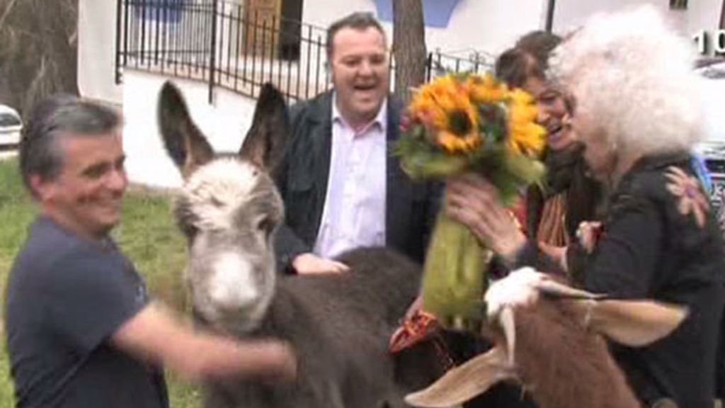 La Duquesa, atacada por una cabra