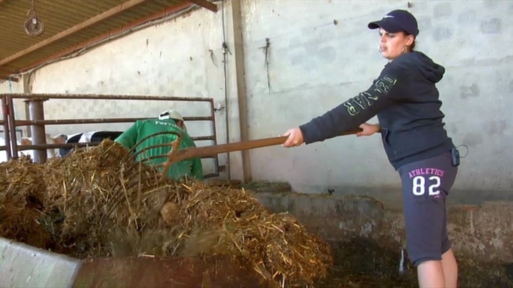 Es una lata el trabajar