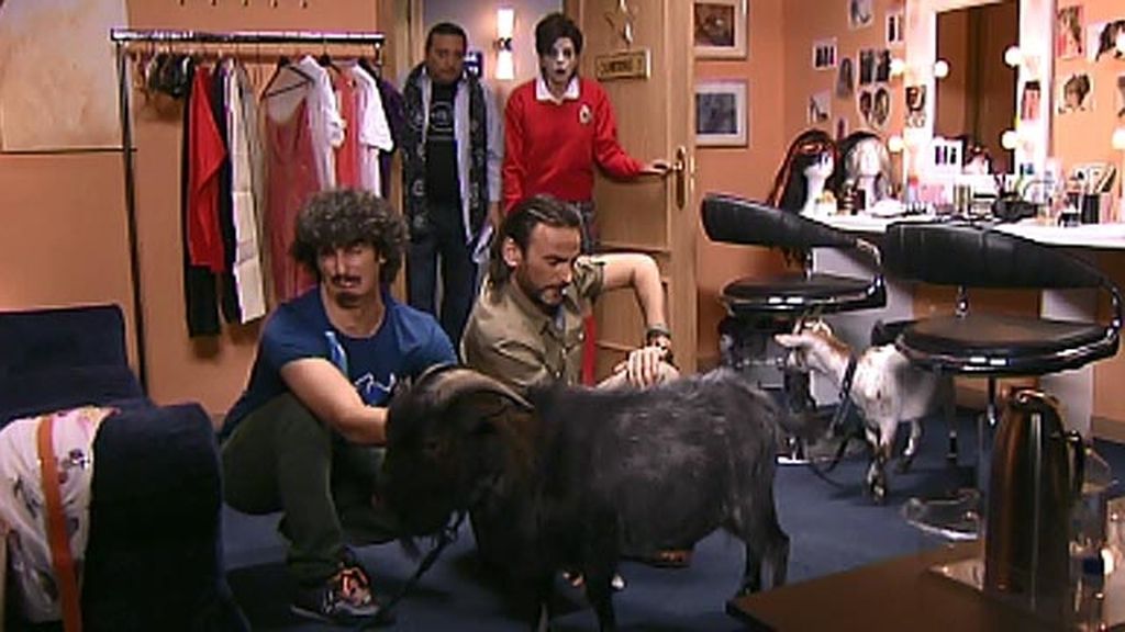 Araceli vuelve después de su aventura con el brasileño