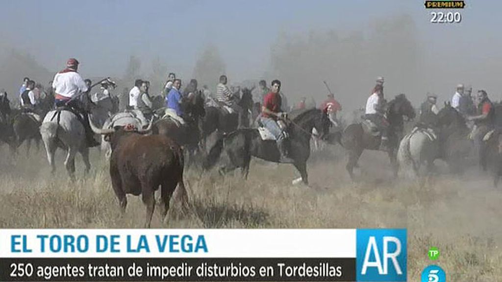 Tordesillas, tomado por la policía para evitar disturbios durante el toro de la Vega