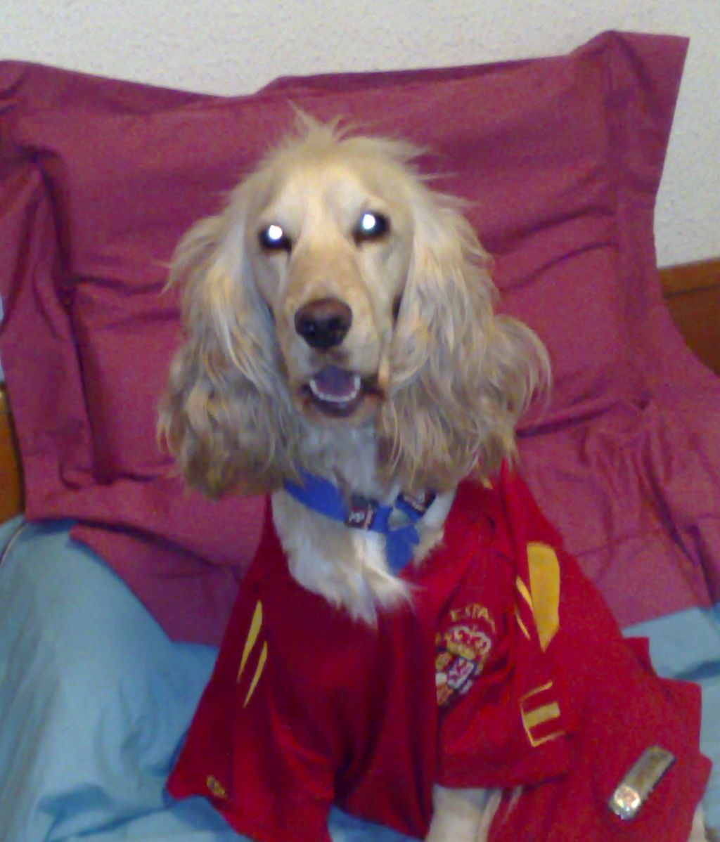 Concursantes Efecto ¡GUAU!... de mascotas