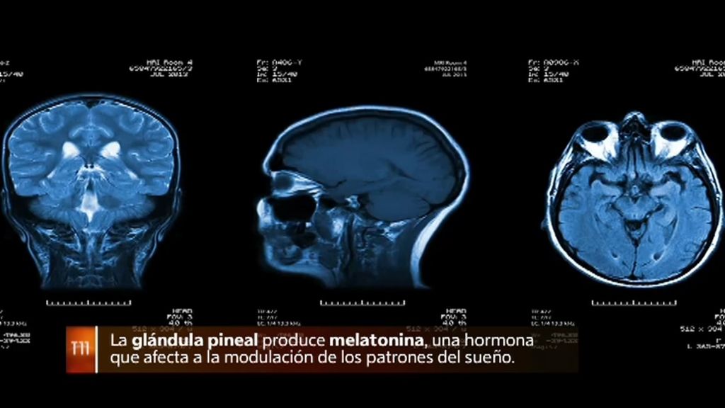 Glándula pineal: conexión del cuerpo físico con el alma y lo místico