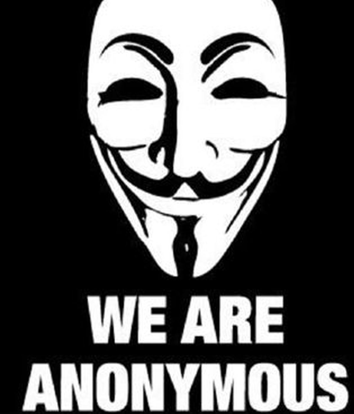 Los internautas han criticado a la policía por decir que los detenidos eran miembros de la "cúpula" de Anonymous. Vídeo: Informativos Telecinco.