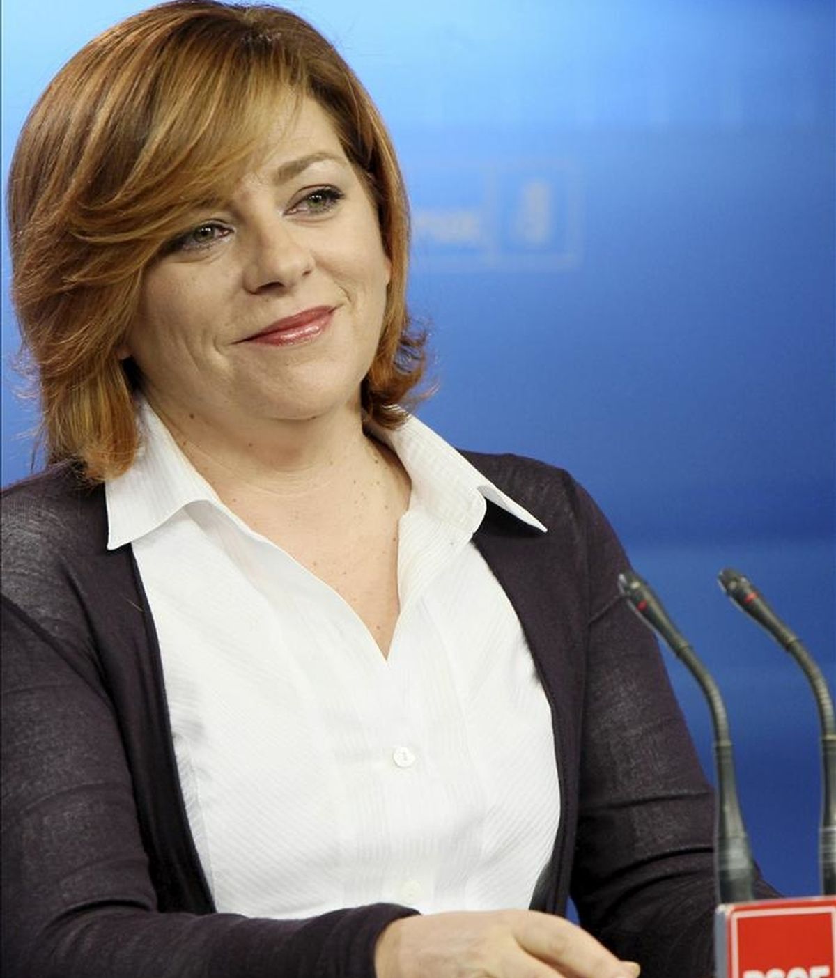 Fotografía facilitada por el PSOE de la secretaria de Política Internacional y Cooperación del PSOE, Elena Valenciano, durante la rueda de prensa que ofreció hoy en Madrid. EFE Fotografía facilitada por el PSOE de la secretaria de Política Internacional y Cooperación del PSOE, Elena Valenciano, durante la rueda de prensa que ofreció hoy en Madrid. EFE