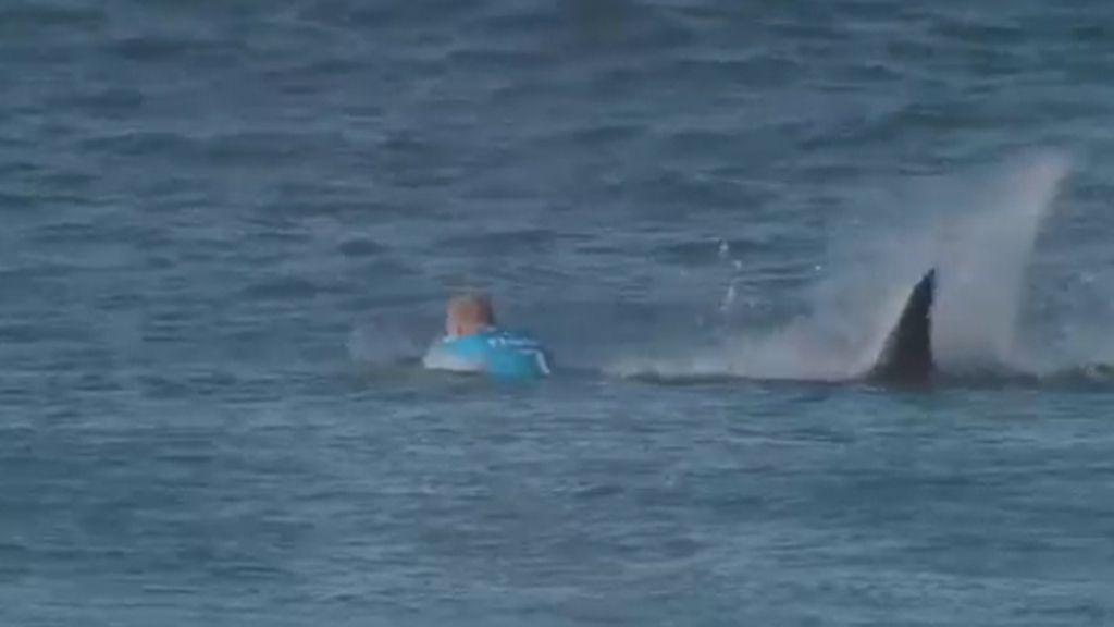 Escalofriante ataque de un tiburón a un tricampeón de surf