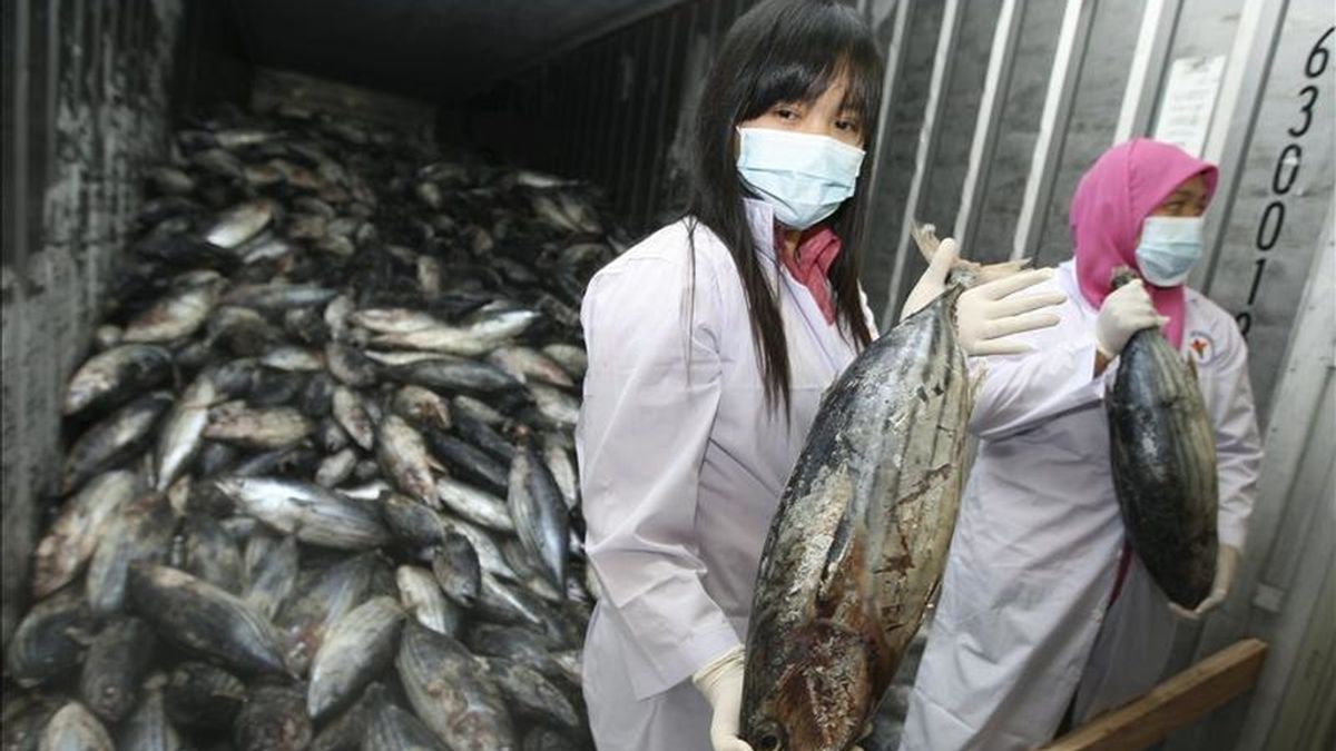 Miembros del Departamento de Salud Alimentaria y Medicamentos toman muestras de pescados provenientes de Japón. EFE/Archivo