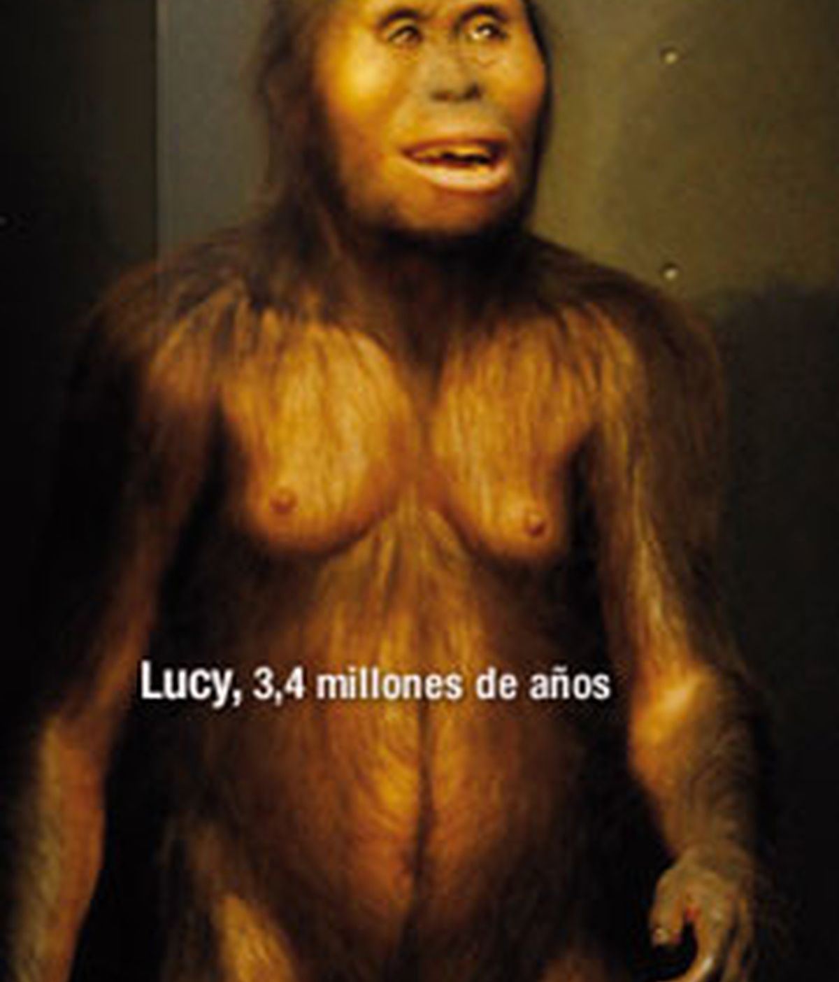 Reconstrucción de cómo sería Lucy. Foto: Museo de la Evolución Humana