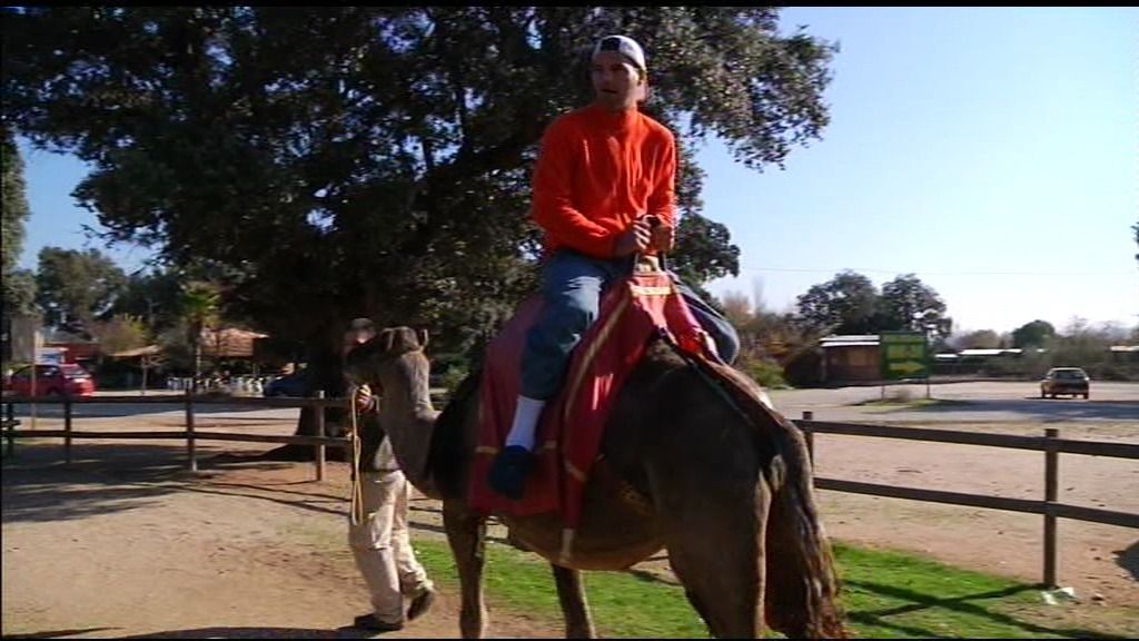 Famosos en Nochevieja