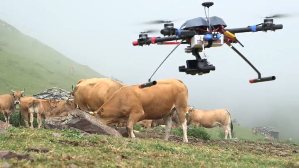 ¿Podrán los drones hacer de pastores?