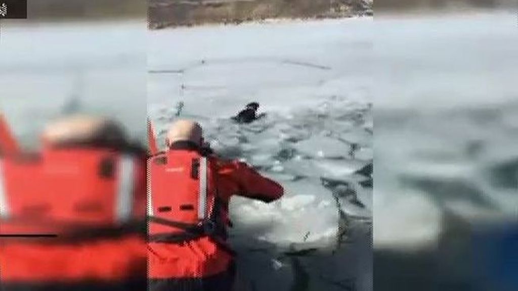 Rescatan a un perro en medio de un lago helado