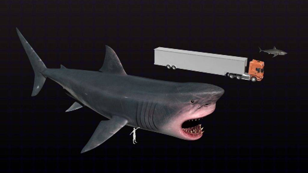 ¿Existe hoy en los océanos el ‘Megalodón’, un tiburón de hasta 22 metros de largo?