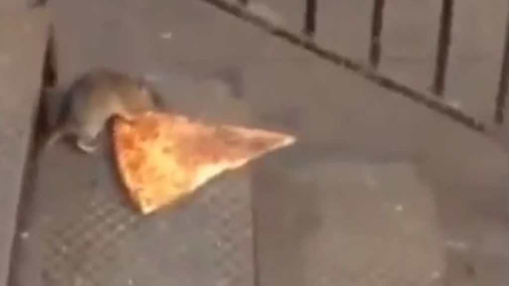 Una rata pasea a sus anchas por el metro de Nueva York con su cena a cuestas