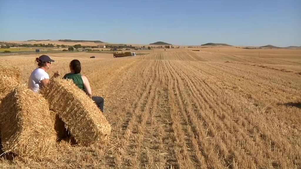 Es una lata el trabajar