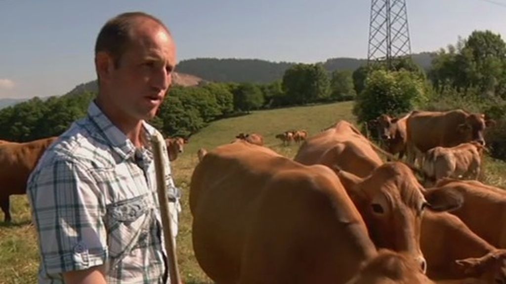 La oficina de Melendi es el campo. Tiene 200 vacas y algunas hasta tienen nombre, una de ellas se llama Pantoja