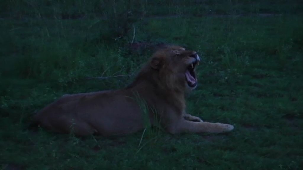 Un paseo por la Sabana