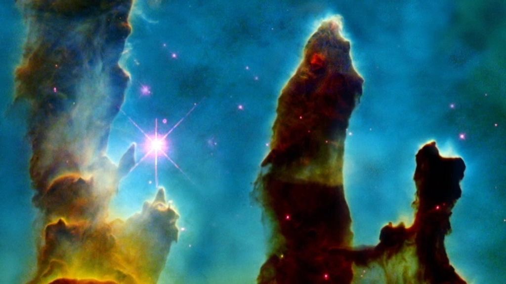 El cerebro en el Universo