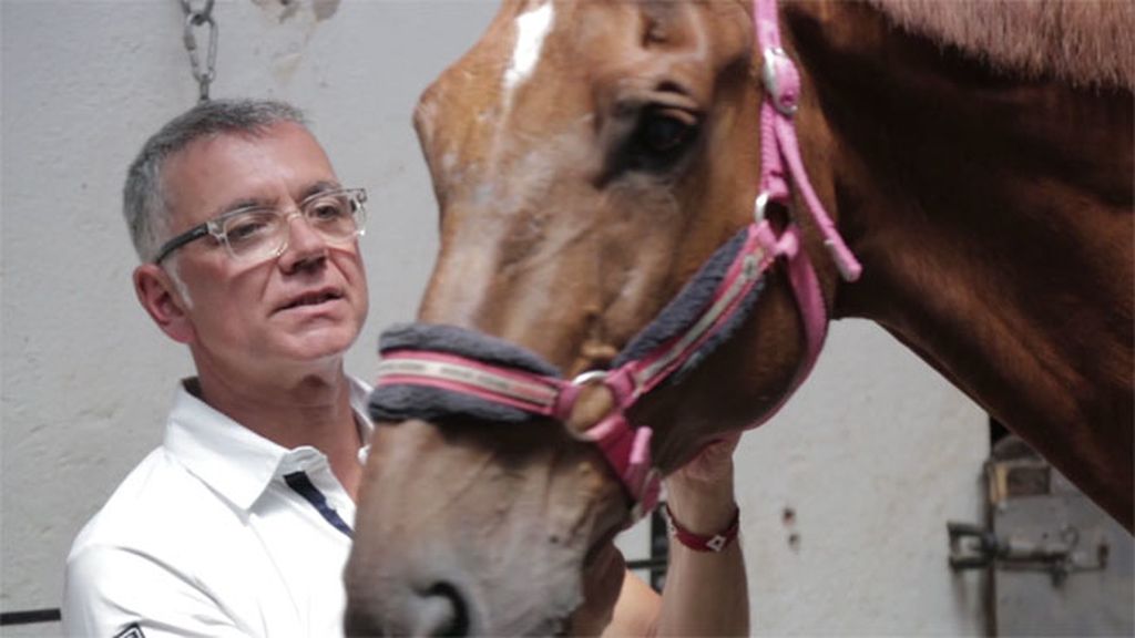 Juan Ramón Lucas, amante de los caballos