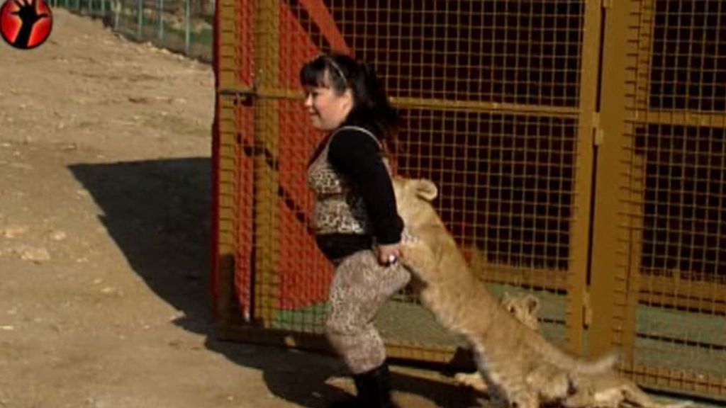 La reportera bautiza como 'Sálvame' y 'Deluxe' a dos llamas