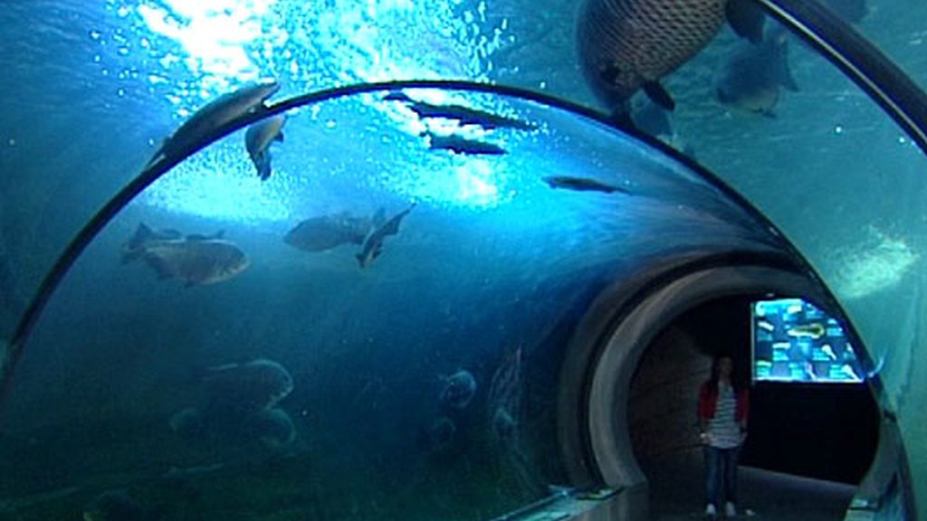 Abraham y Bea (09/02/11)