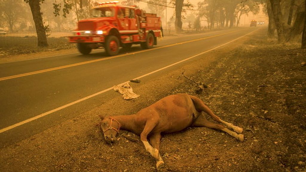 Un muerto y más de 400 edificios destruidos en el incendio de California