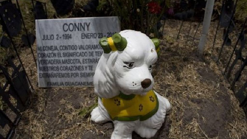 Los cementerios de perros, negocio prometedor en Colombia