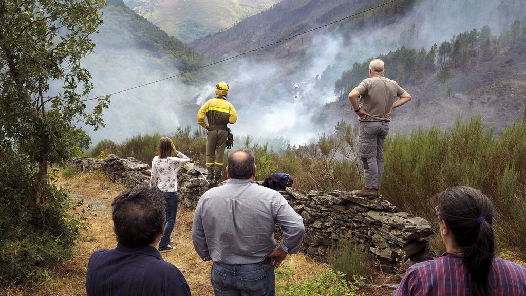 Un incendio calcina más de 500 hectáreas de bosque en Lugo