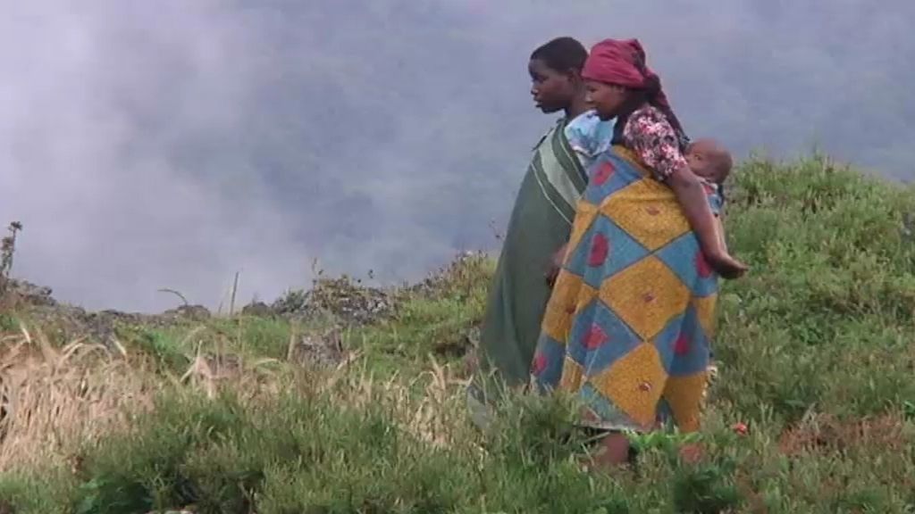 Las mejores fotos de Callejeros Viajeros con los últimos gorilas