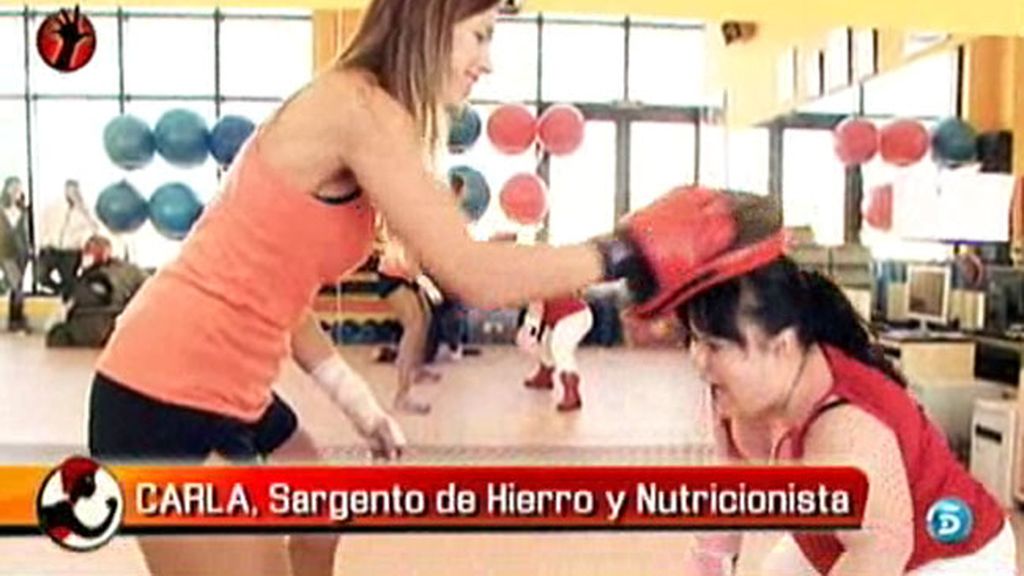 Pelea contra Carla y pierde el combate