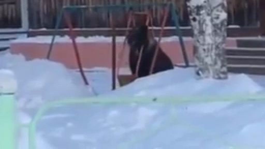 La entrañable escena de un oso cachorro subiendo a un columpio
