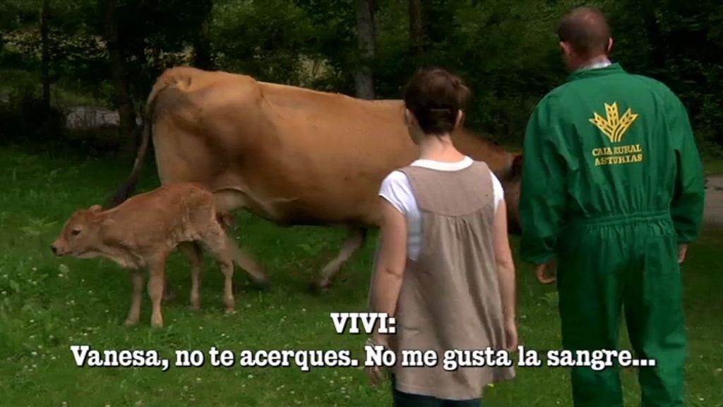 Es una lata el trabajar