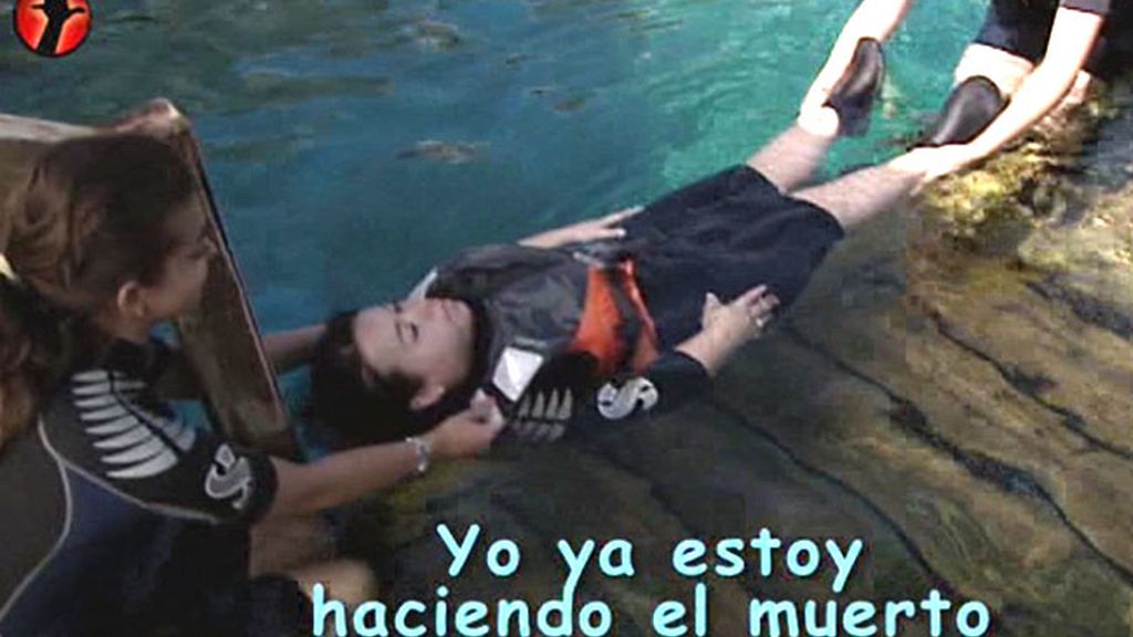 Chiqui encantadora de serpientes y osos marinos