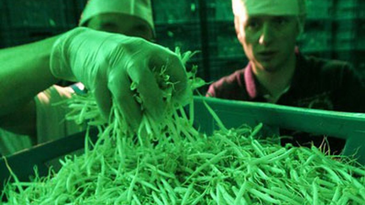 Un laboratorio alemán hace pruebas a soja. Vídeo: Informativos Telecinco.