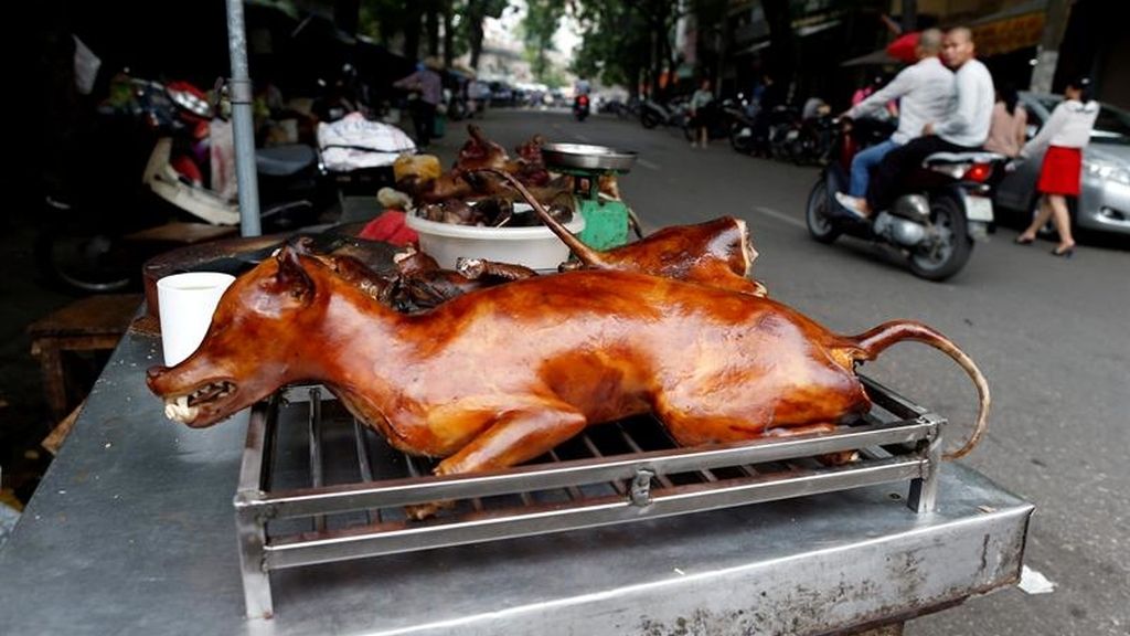 El mejor amigo del hombre sabe a...