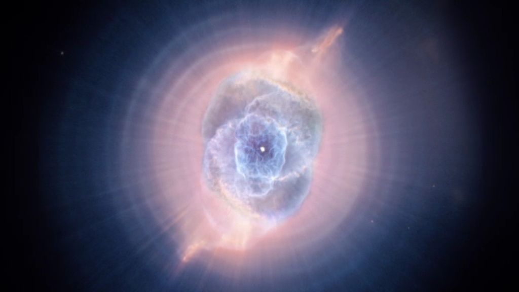 El cerebro en el Universo