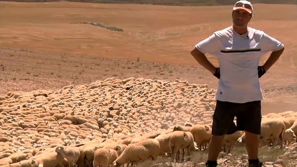 Es una lata el trabajar