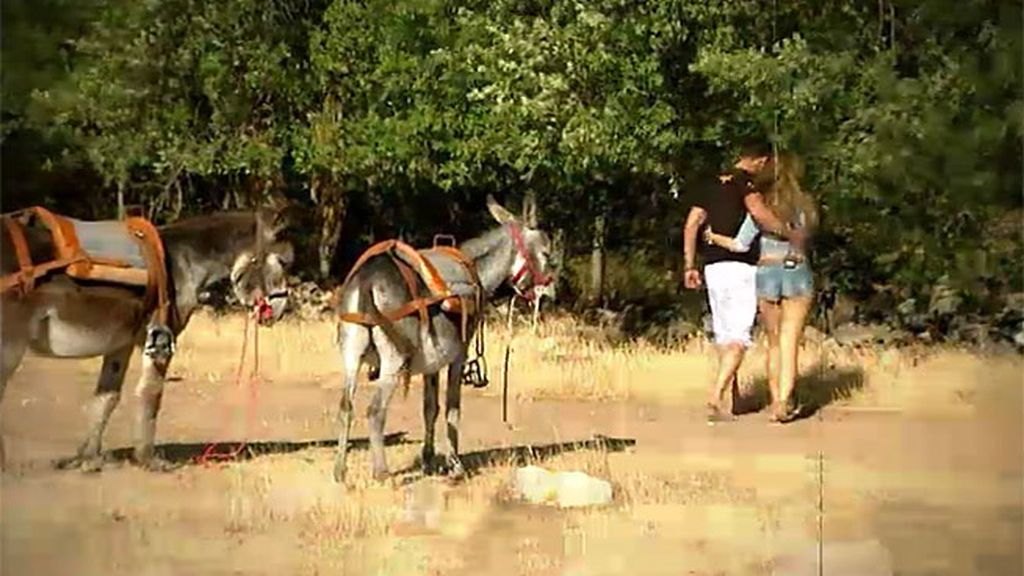 Paseo en burro, carcajadas y piropos