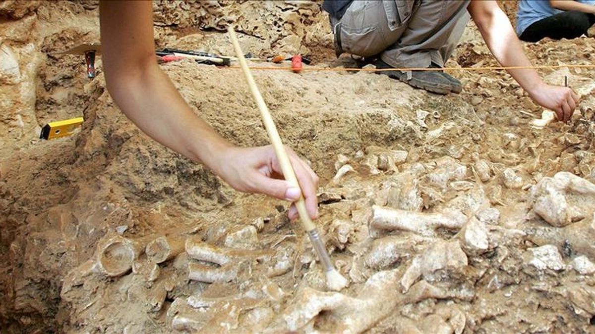 En una ciudadela ubicada en el sector de Vilcabamba, en la provincia sureña de La Convención, en Cuzco, los arqueólogos encontraron la tumba de una figura que han calificado como equiparable al del Señor de Sipán. EFE/Archivo En una ciudadela ubicada en el sector de Vilcabamba, en la provincia sureña de La Convención, en Cuzco, los arqueólogos encontraron la tumba de una figura que han calificado como equiparable al del Señor de Sipán. EFE/Archivo