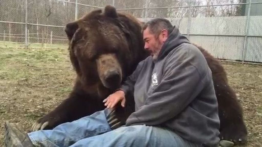 ¡No juegues con un oso de 700 kilos...aunque sea tu amigo!