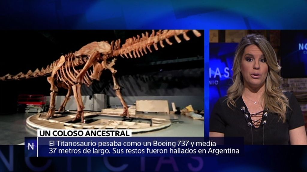 El Titanosaurio, la resurrección de un oso de agua… noticias de la semana