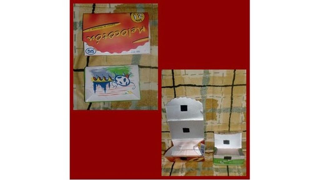 María Luisa Sánchez Boyero