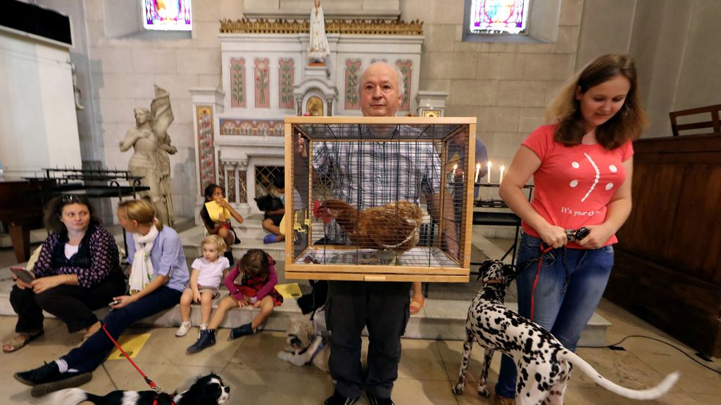 Pintoresca bendición de animales en una iglesia de Niza