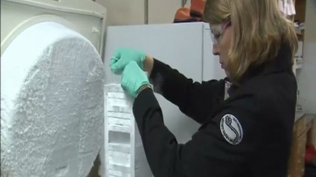 Los científicos investigan 'contrarreloj' una posible cura contra el ébola