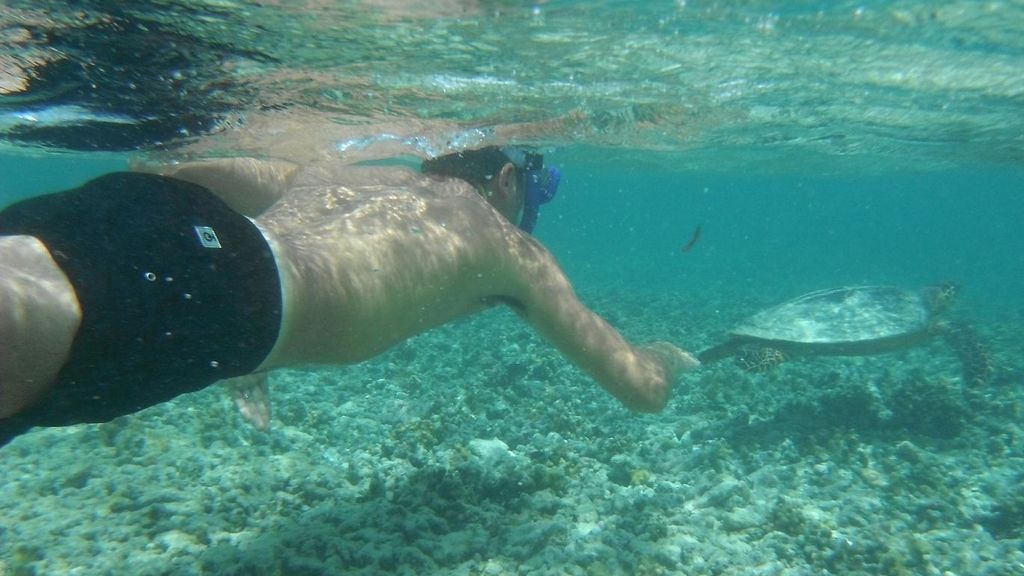Concursantes Efecto ¡GUAU!... en vacaciones