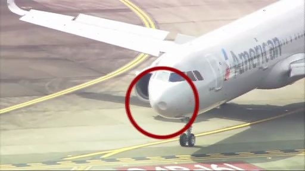 Gran impacto en el morro de un avión tras chocar contra un pájaro en pleno vuelo