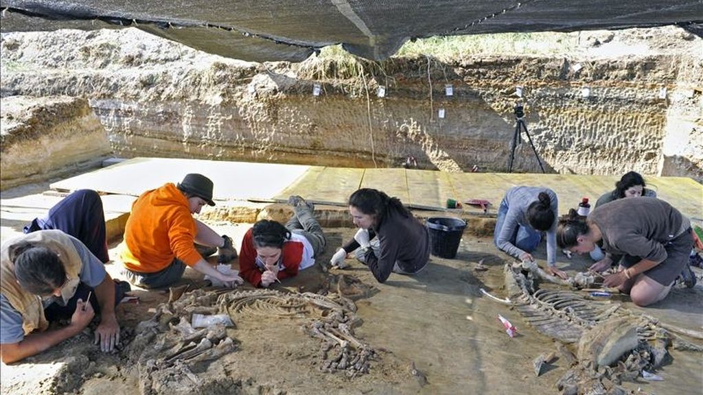 Varios arqueológos trabajan en el yacimiento El Camp dels Ninots de la población gerundense de Caldes de Malavella, donde se han hallado los esqueletos de un tapir y un bóvido de 3,3 millones de años de antigüedad. EFE