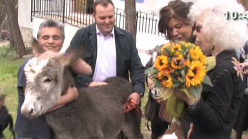 La Duquesa, atacada por una cabra