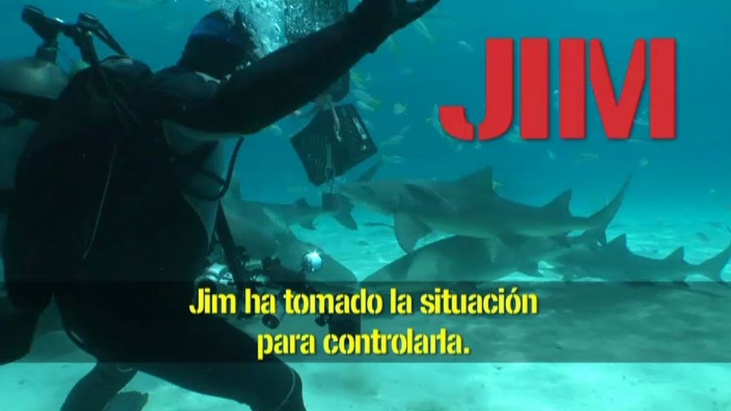 Jim: un loco de los tiburones