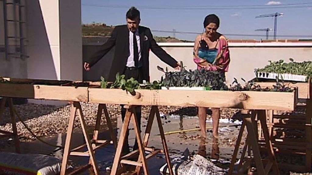 Araceli vuelve después de su aventura con el brasileño