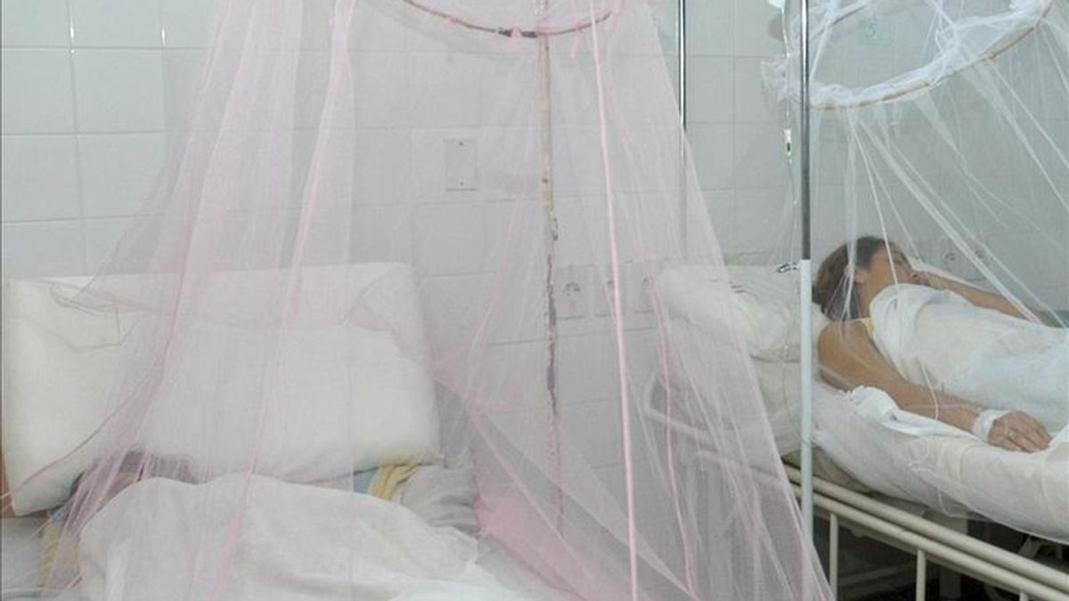 El más reciente de los fallecimientos por dengue en Latinoamérica se confirmó hoy en Iquitos, capital de la región peruana de Loreto, donde la avalancha de casos ha sobrepasado la capacidad del hospital de la ciudad y obligado a instalar 40 camas adicionales. EFE/Archivo El más reciente de los fallecimientos por dengue en Latinoamérica se confirmó hoy en Iquitos, capital de la región peruana de Loreto, donde la avalancha de casos ha sobrepasado la capacidad del hospital de la ciudad y obligado a instalar 40 camas adicionales. EFE/Archivo